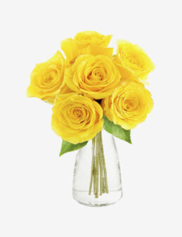 Yellow Roses Classic Dozen Yellow Rose Bouquet